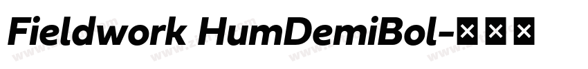 Fieldwork HumDemiBol字体转换